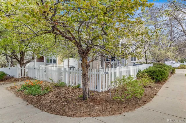 a view of a yard with large trees