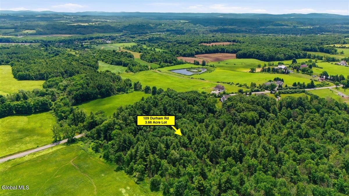 109 Durham Road Stillwater, NY 12170 - Photo 2 of 11 109 Durham Rd