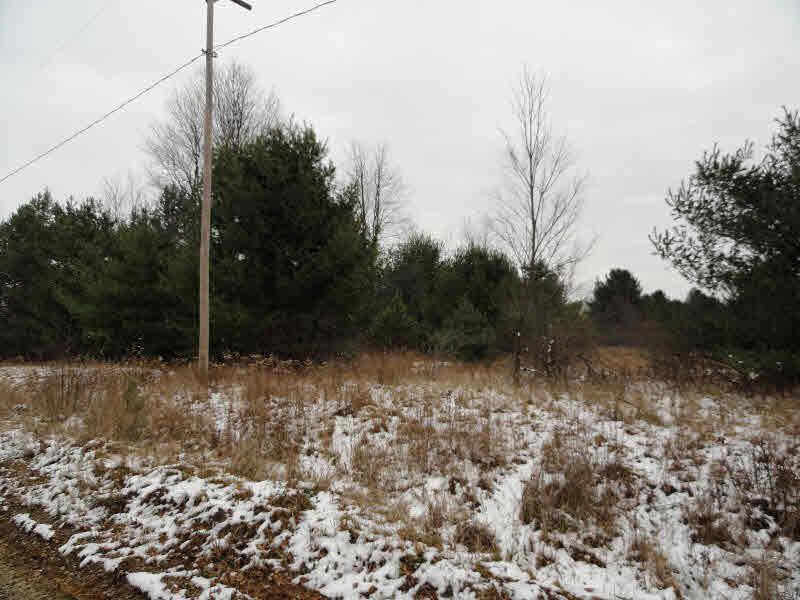 2 Rifle River Road Omer, MI 48749 - Photo 3 of 5