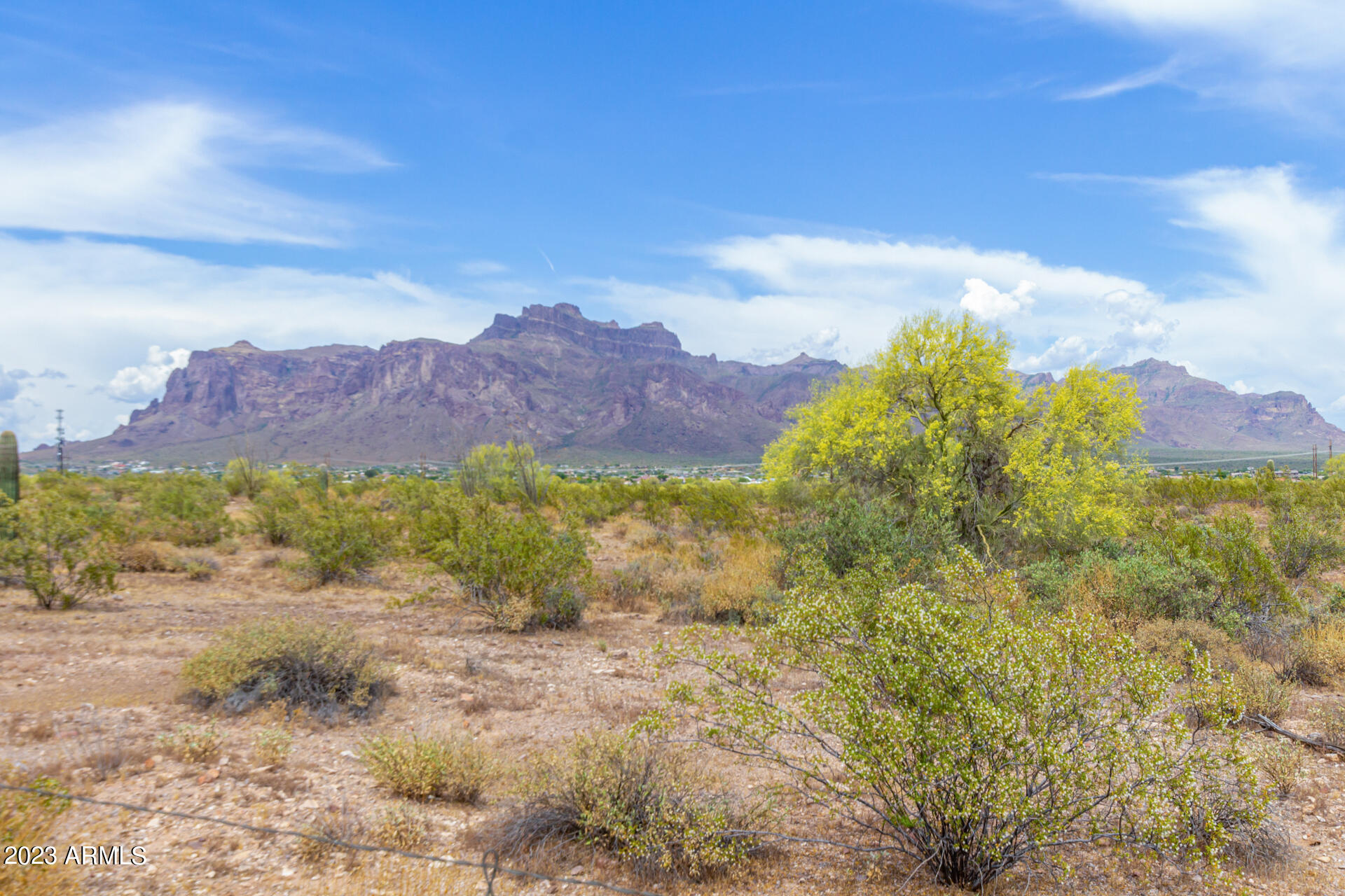 262 South Cactus Road Apache Junction, AZ 85119 - Photo 31 of 32 31 - Cactus