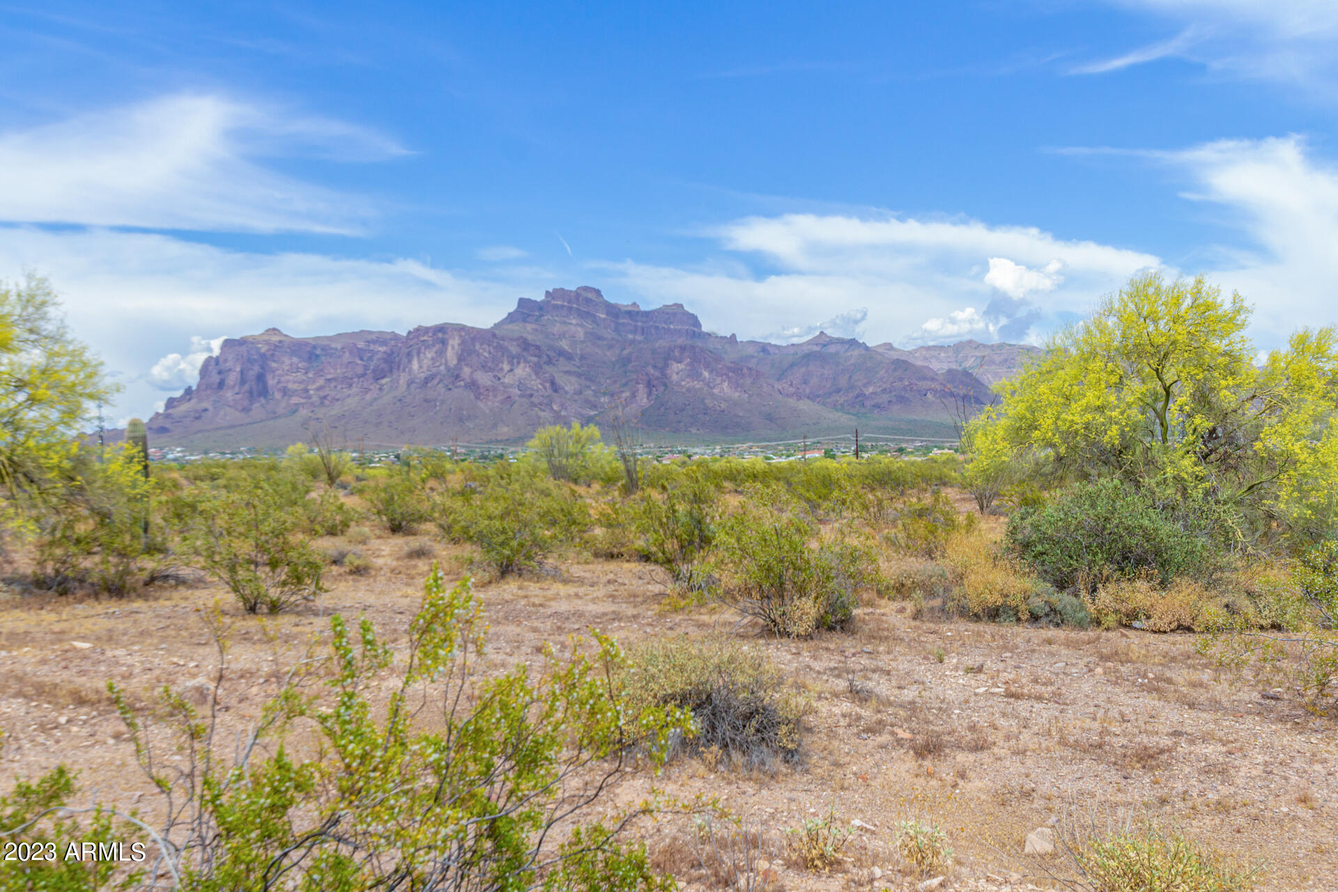 262 South Cactus Road Apache Junction, AZ 85119 - Photo 32 of 32 32 - Cactus