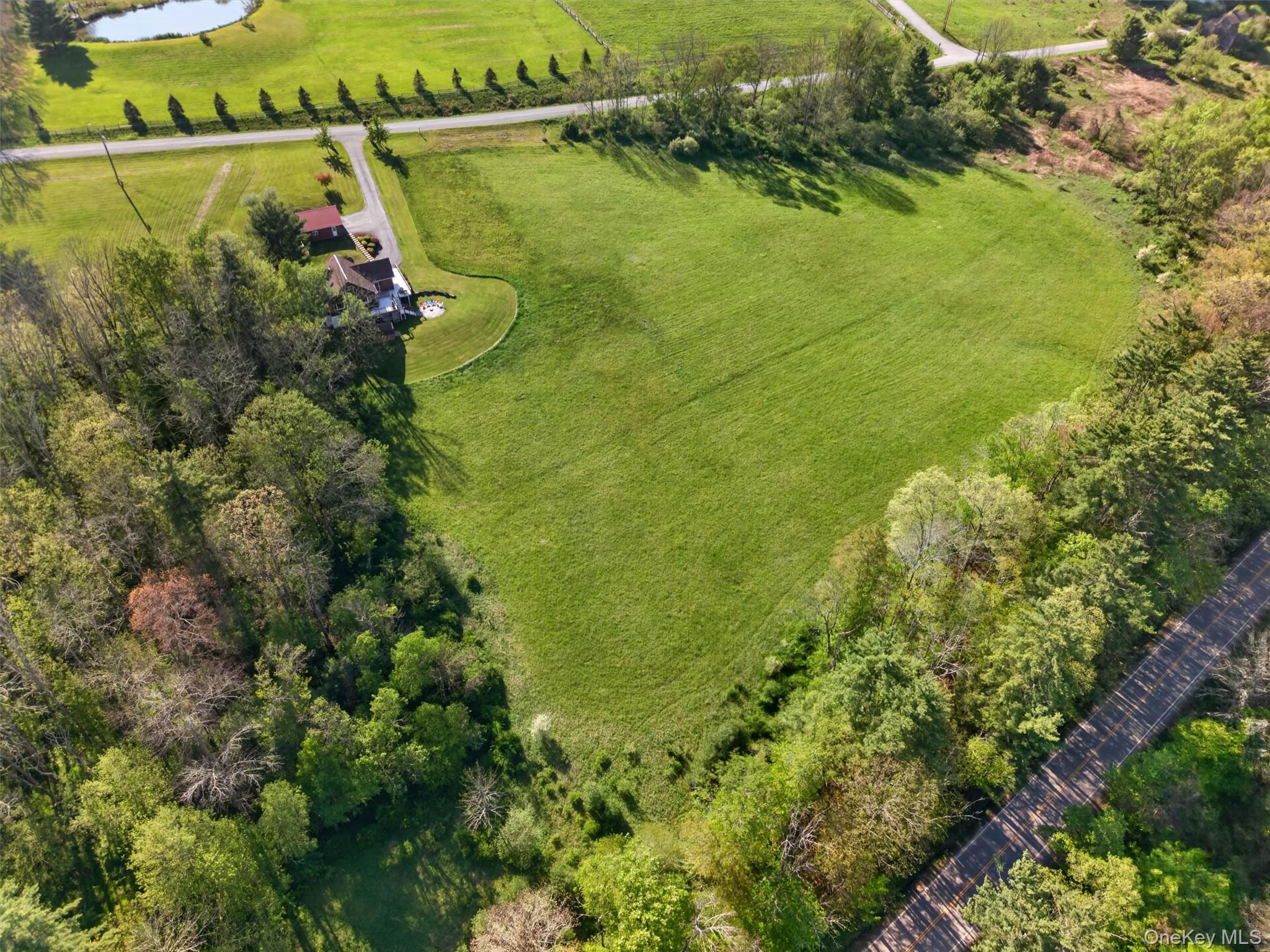 340 Hospital Road Callicoon, NY 12723 - Photo 34 of 41 a view of a lake