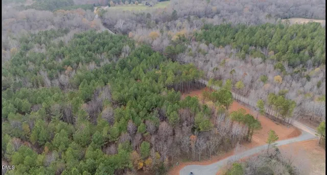 a view of a lush green forest with lots of trees