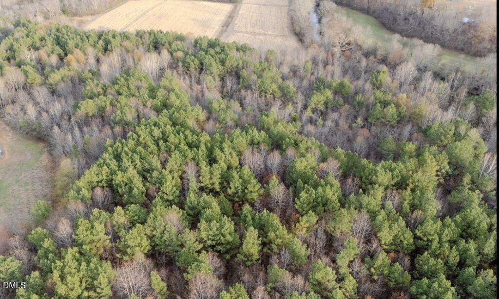 Lot 1 Enon Road Oxford, NC 27565 - Photo 6 of 10 a view of a lush green forest with lots of trees