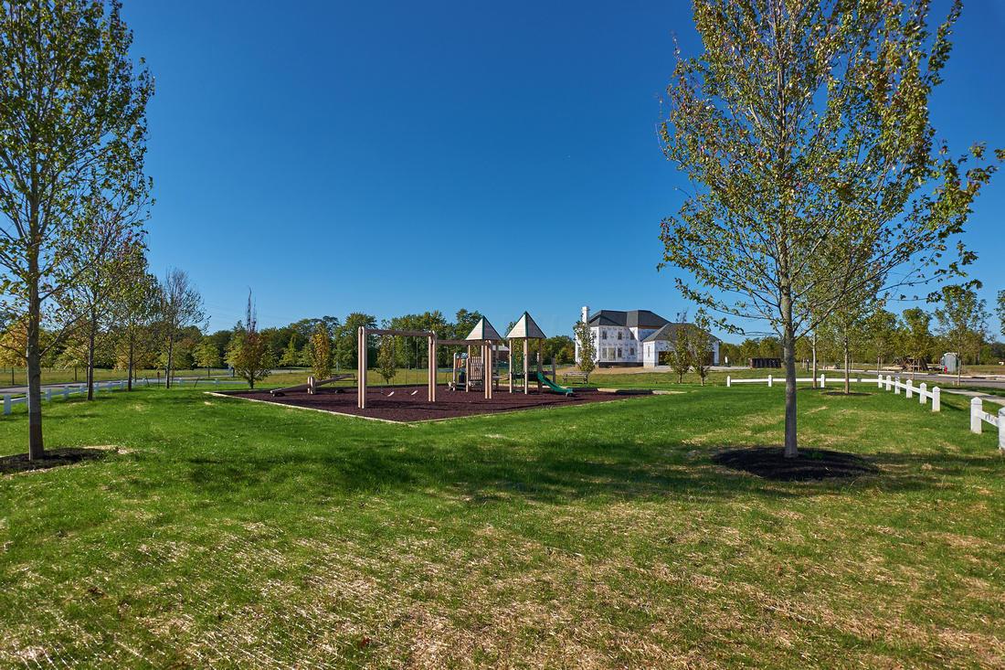 6971 Hanby's Loop New Albany, OH 43054 - Photo 49 of 64