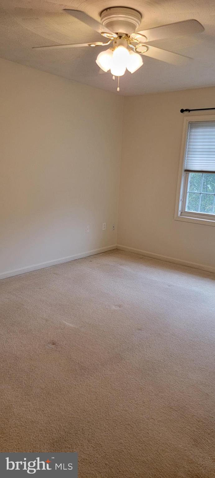 116 Asbury Road Winchester, VA 22602 - Photo 18 of 21 Gallery Image 18