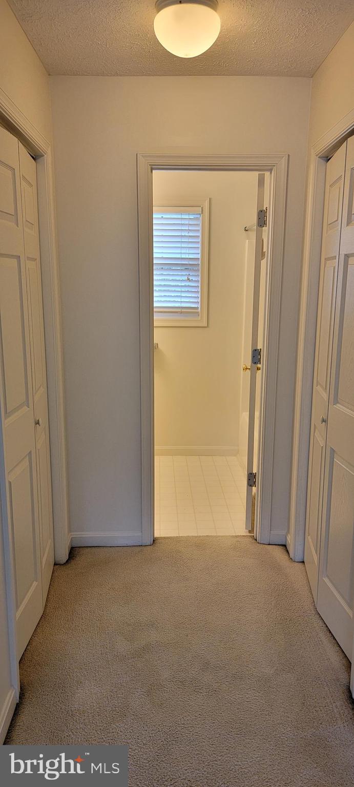 116 Asbury Road Winchester, VA 22602 - Photo 20 of 21 Gallery Image 20