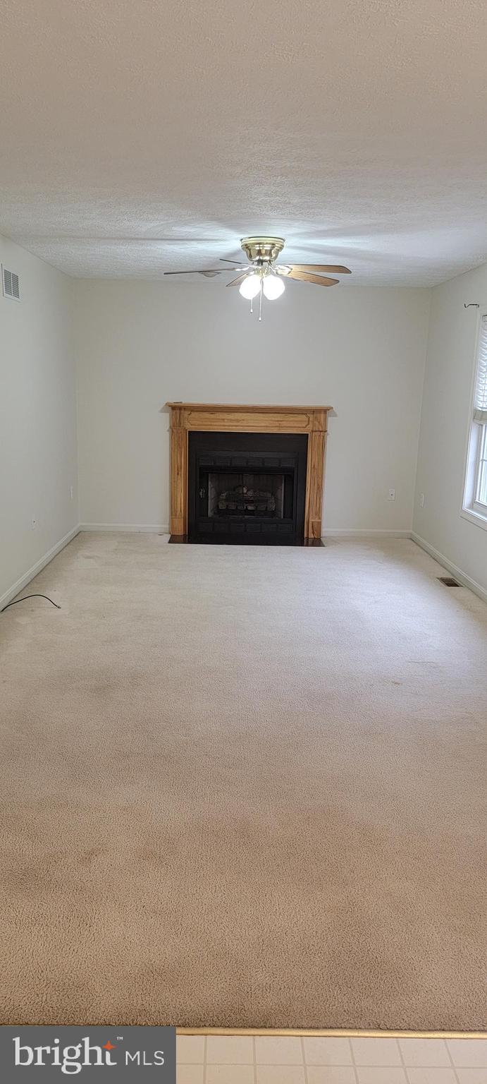116 Asbury Road Winchester, VA 22602 - Photo 4 of 21 Gallery Image 4