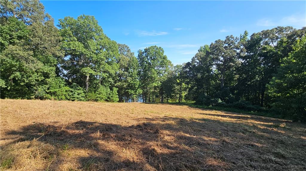 Lot 2 Snote Jones Road Dallas, GA 30132 - Photo 14 of 22 Gallery Image 14