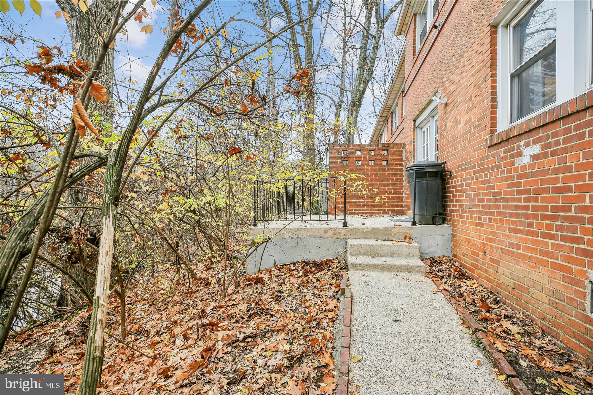 8629 Geren Road, Unit 293 Silver Spring, MD 20901 - Photo 8 of 45 Back Yard