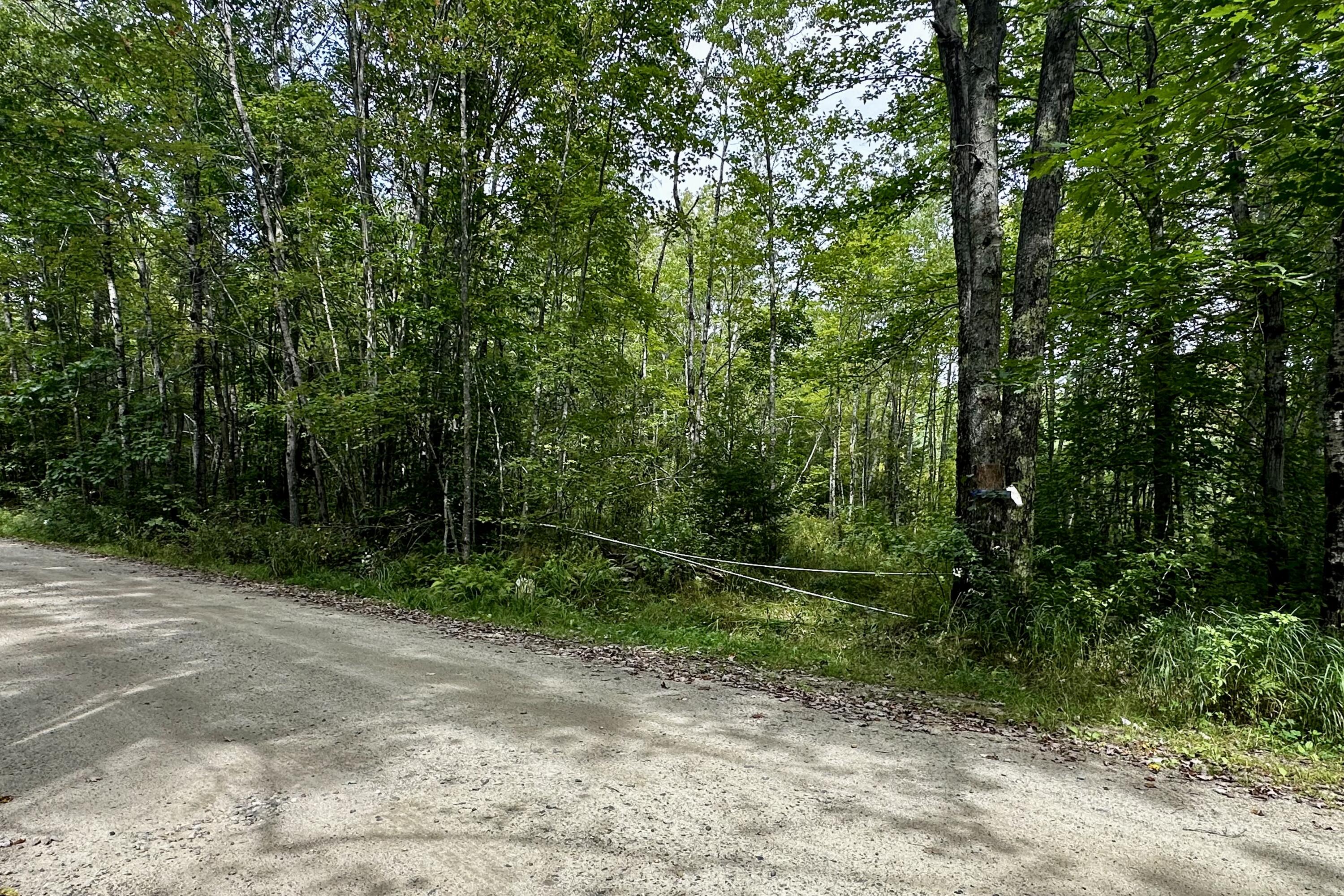 0 Spirit Wind Farm Road Lebanon, ME 04027 - Photo 33 of 47 IMG_4114