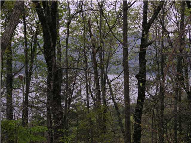 54 Mullins Cove Road Whitwell, TN 37397 - Photo 1 of 6 Primary Photo