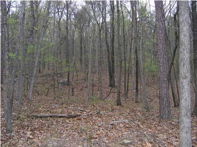 54 Mullins Cove Road Whitwell, TN 37397 - Photo 2 of 6 Additional Photo