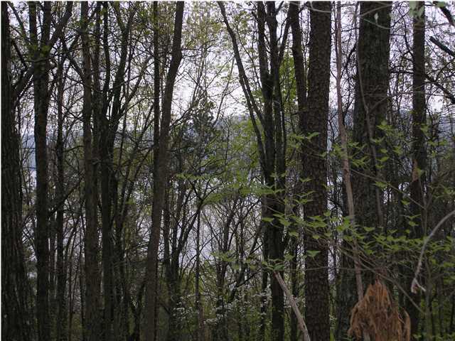 54 Mullins Cove Road Whitwell, TN 37397 - Photo 3 of 6 Additional Photo