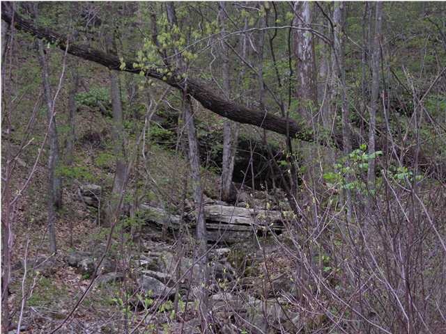 54 Mullins Cove Road Whitwell, TN 37397 - Photo 5 of 6 Additional Photo