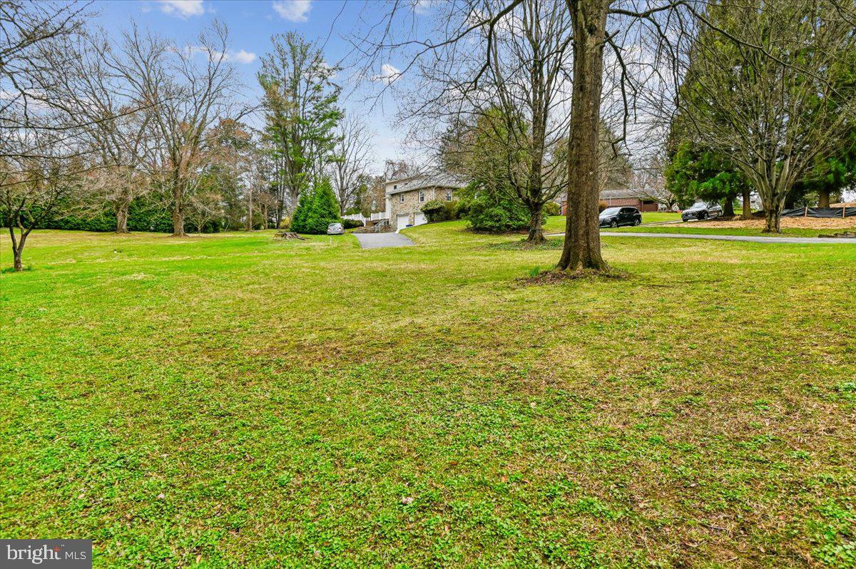 308 West Wind Road Towson, MD 21204 - Photo 67 of 80 a view of a trees with a yard