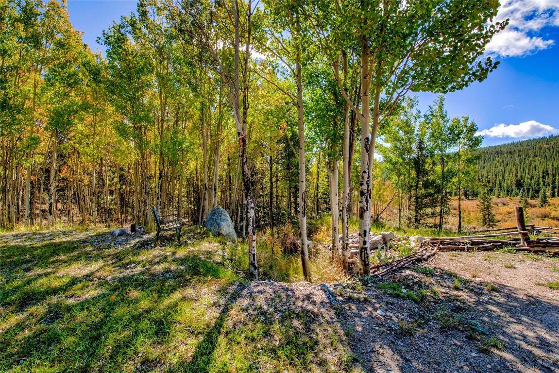 2891 Nugget Road Fairplay, CO 80440 - Photo 8 of 50 Richly treed for peace and quiet
