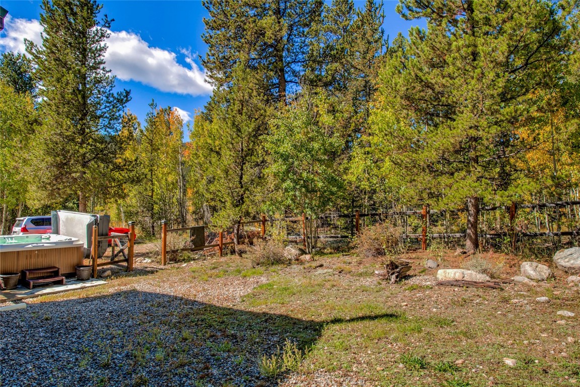 2891 Nugget Road Fairplay, CO 80440 - Photo 9 of 50 Your own forest