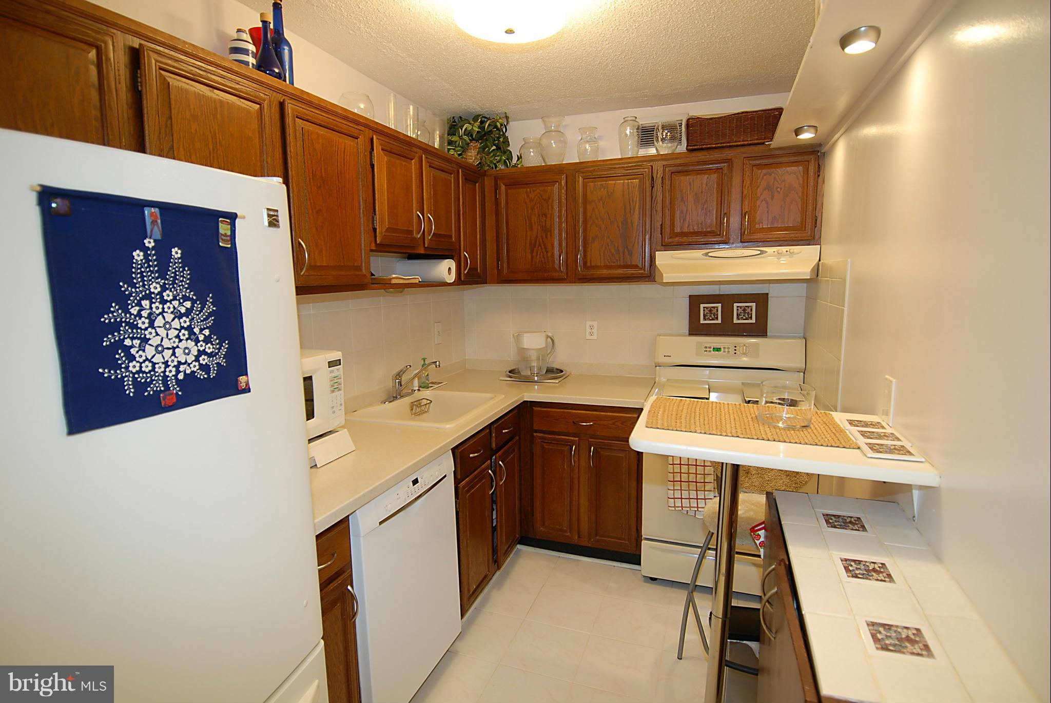 1250 4th Street Southwest, Unit W407 Washington, DC 20024 - Photo 14 of 29 Kitchen
