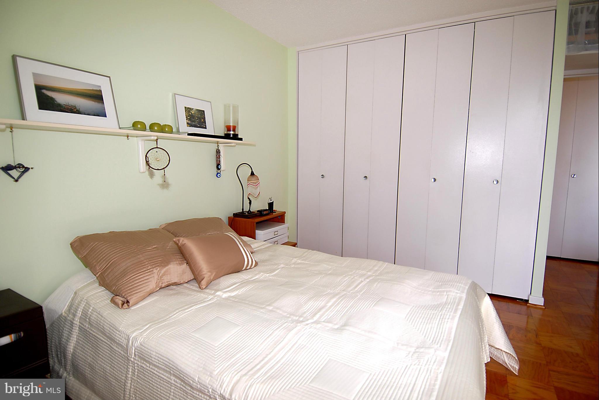 1250 4th Street Southwest, Unit W407 Washington, DC 20024 - Photo 18 of 29 Bedroom