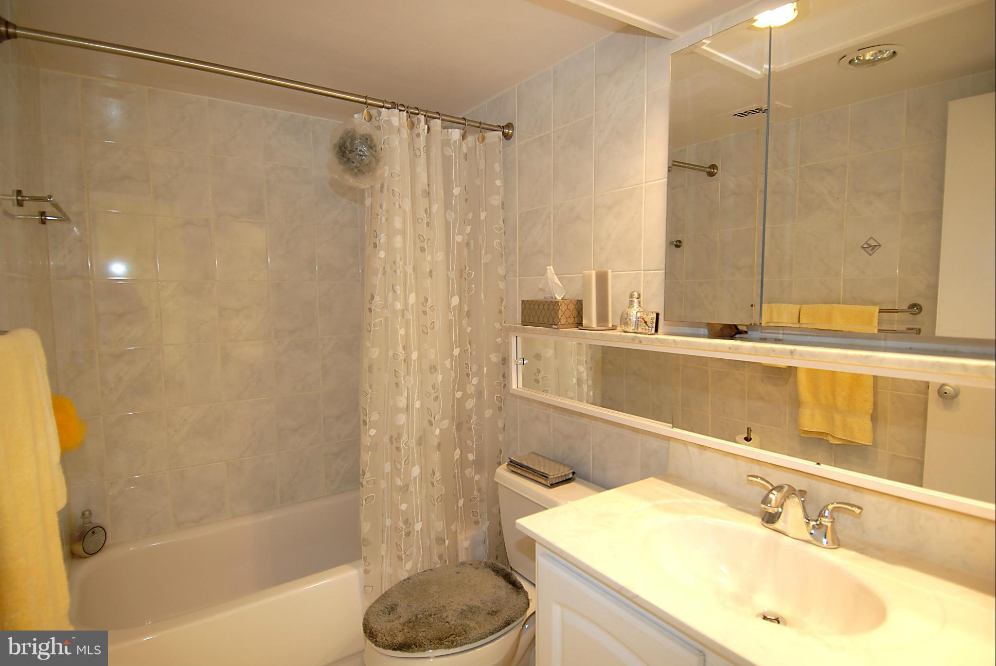 1250 4th Street Southwest, Unit W407 Washington, DC 20024 - Photo 20 of 29 Bath