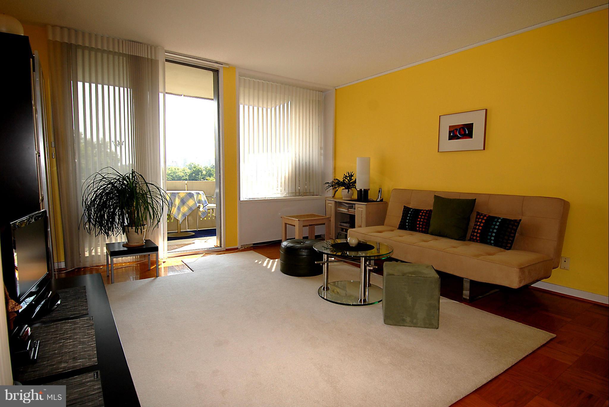 1250 4th Street Southwest, Unit W407 Washington, DC 20024 - Photo 4 of 29 Living Room