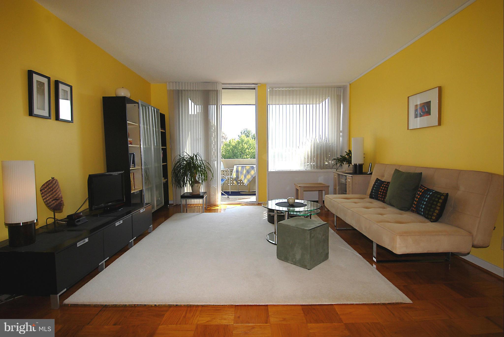 1250 4th Street Southwest, Unit W407 Washington, DC 20024 - Photo 5 of 29 Living Room