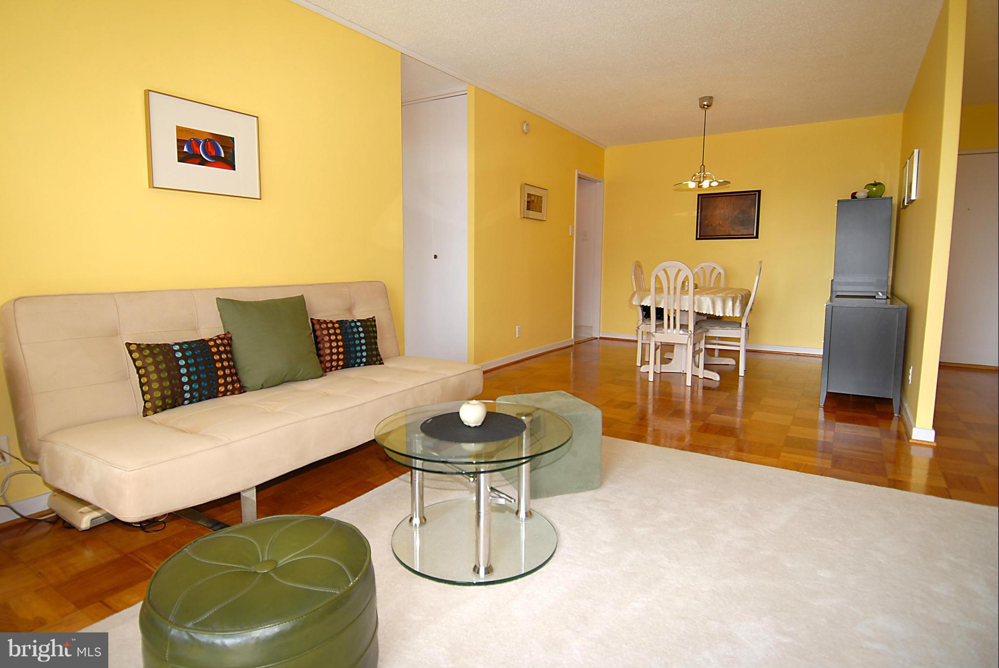 1250 4th Street Southwest, Unit W407 Washington, DC 20024 - Photo 6 of 29 Living Room