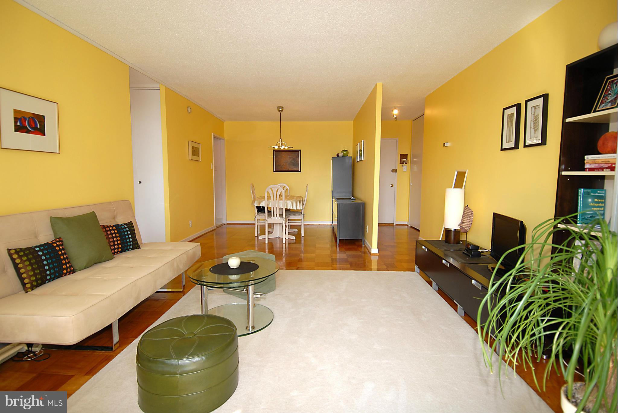 1250 4th Street Southwest, Unit W407 Washington, DC 20024 - Photo 7 of 29 Living Room