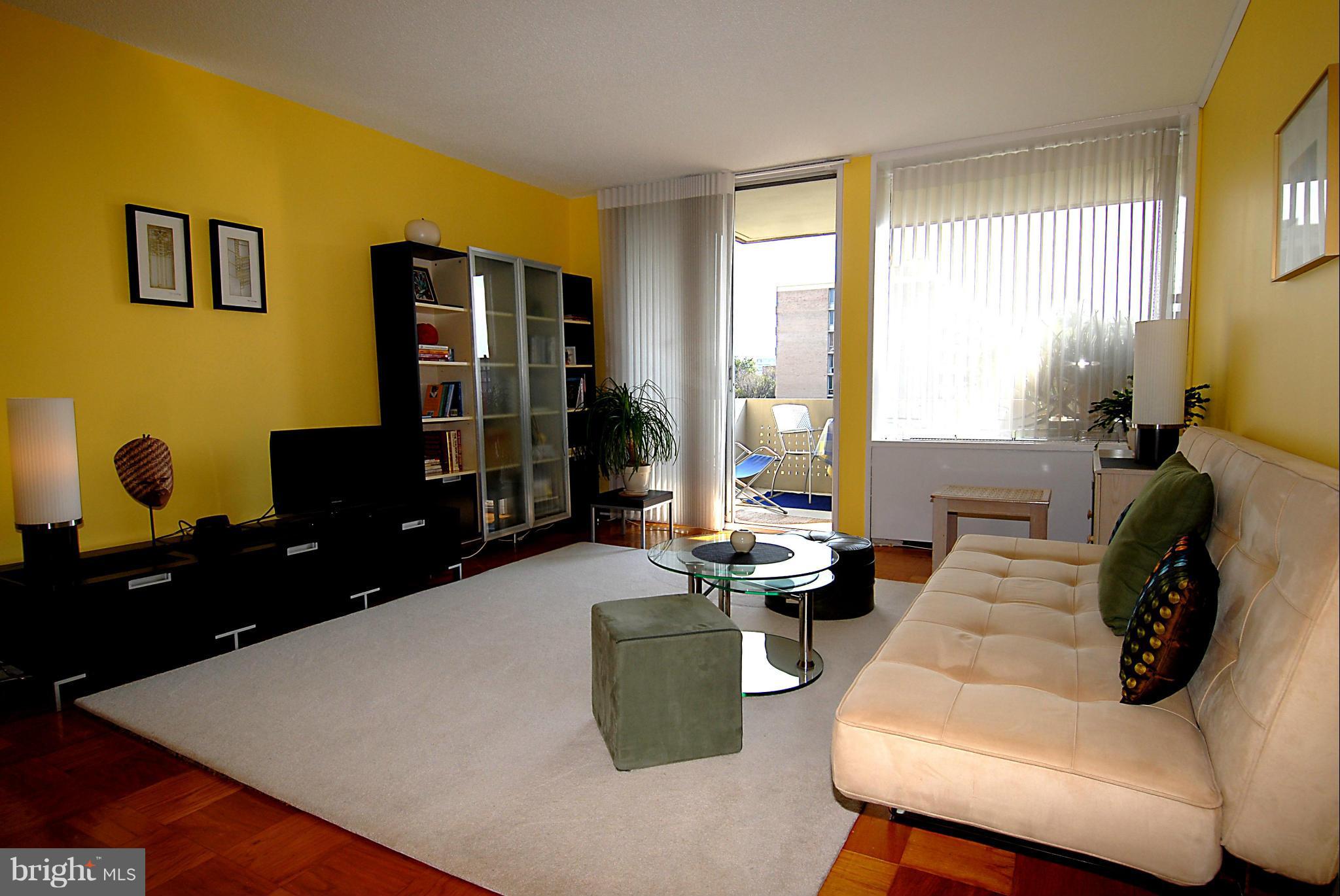 1250 4th Street Southwest, Unit W407 Washington, DC 20024 - Photo 8 of 29 Living Room