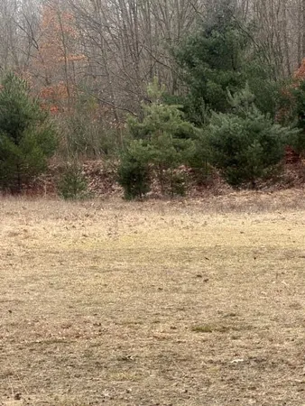 $79,900 | 0 West 100th Street, Grant, MI 49327