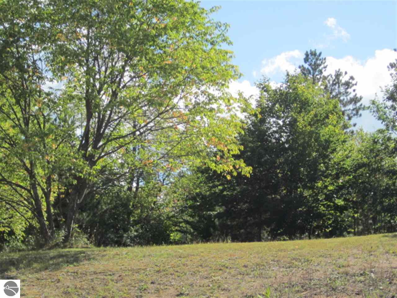 150 Colt Road Northeast Kalkaska, MI 49646 - Photo 26 of 29 1776196-25.JPG