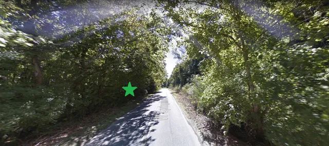 a view of a pathway with a tree