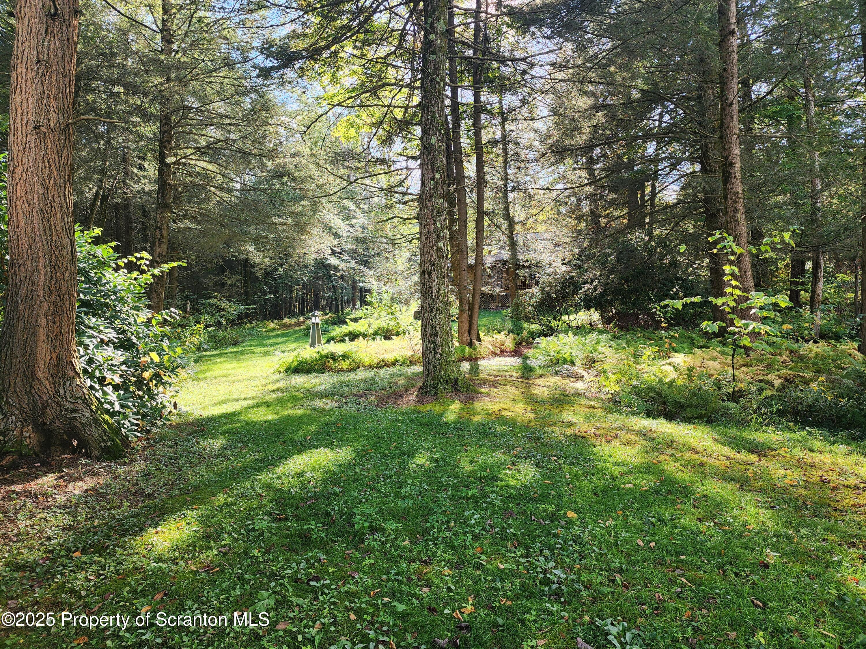 1526 Lakeview Road Susquehanna, PA 18847 - Photo 23 of 31 a view of yard with large trees