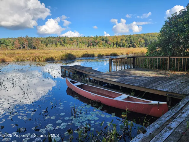a view of backyard with green space
