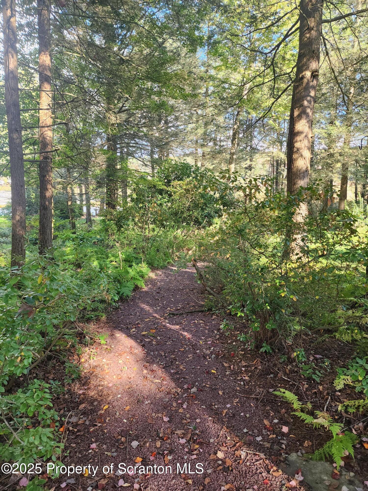 1526 Lakeview Road Susquehanna, PA 18847 - Photo 27 of 31 a view of a yard with plants and large trees