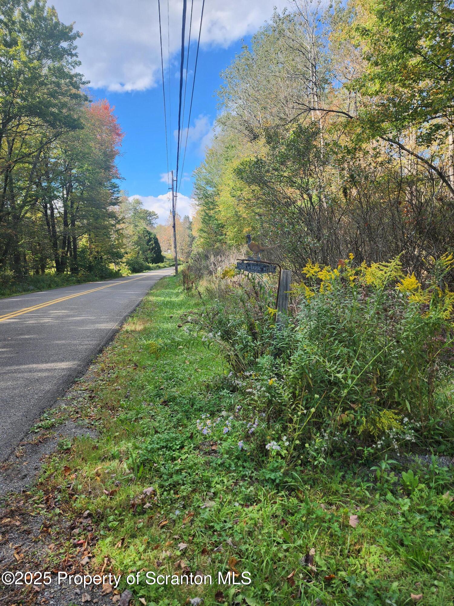 1526 Lakeview Road Susquehanna, PA 18847 - Photo 29 of 31 a view of a yard