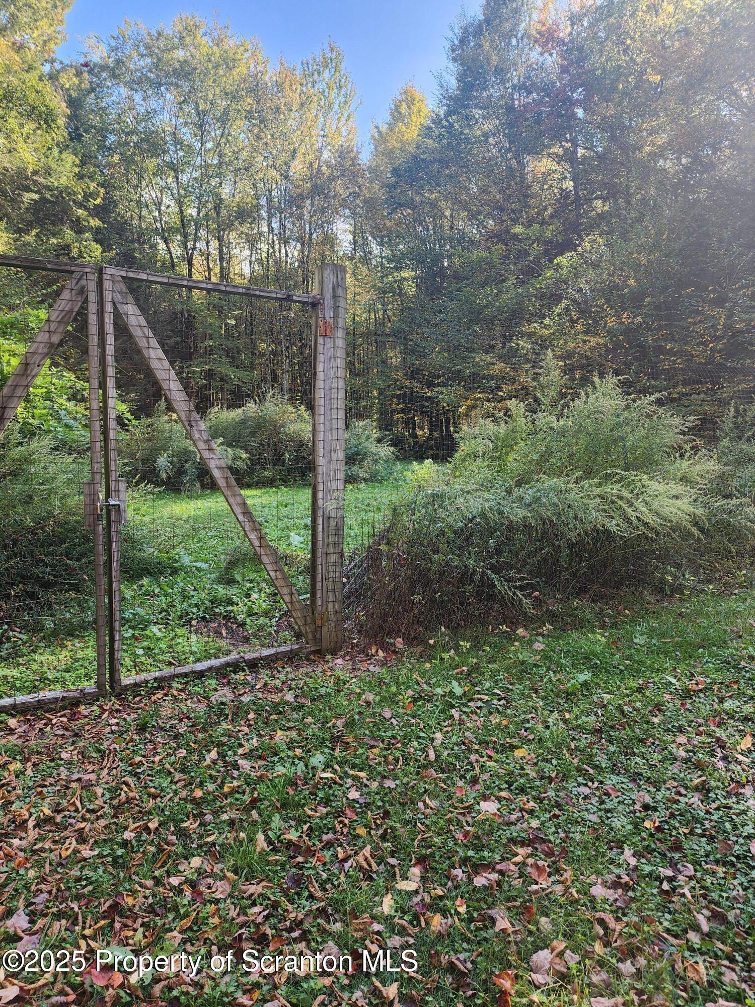 1526 Lakeview Road Susquehanna, PA 18847 - Photo 31 of 31 a view of a lush green forest