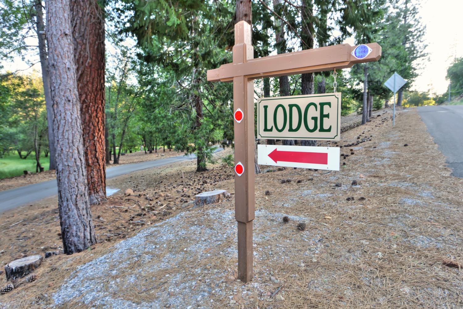 5421 Shooting Star Road Pollock Pines, CA 95726 - Photo 64 of 76