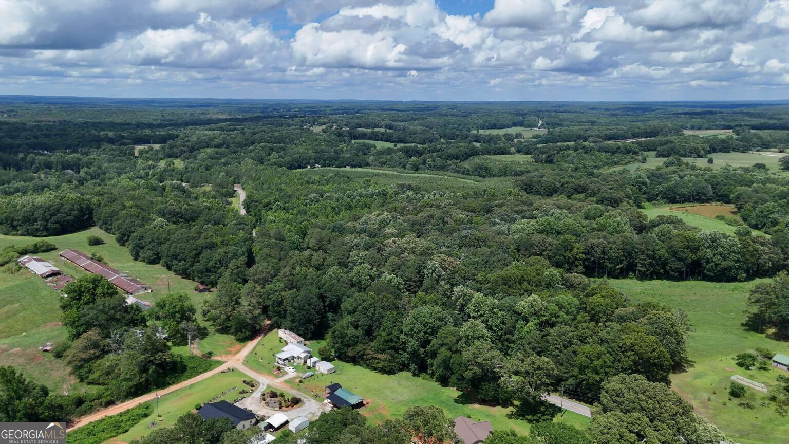 Lot 1 Stateline Road Bowdon, GA 30108 - Photo 11 of 12 Gallery Image 11