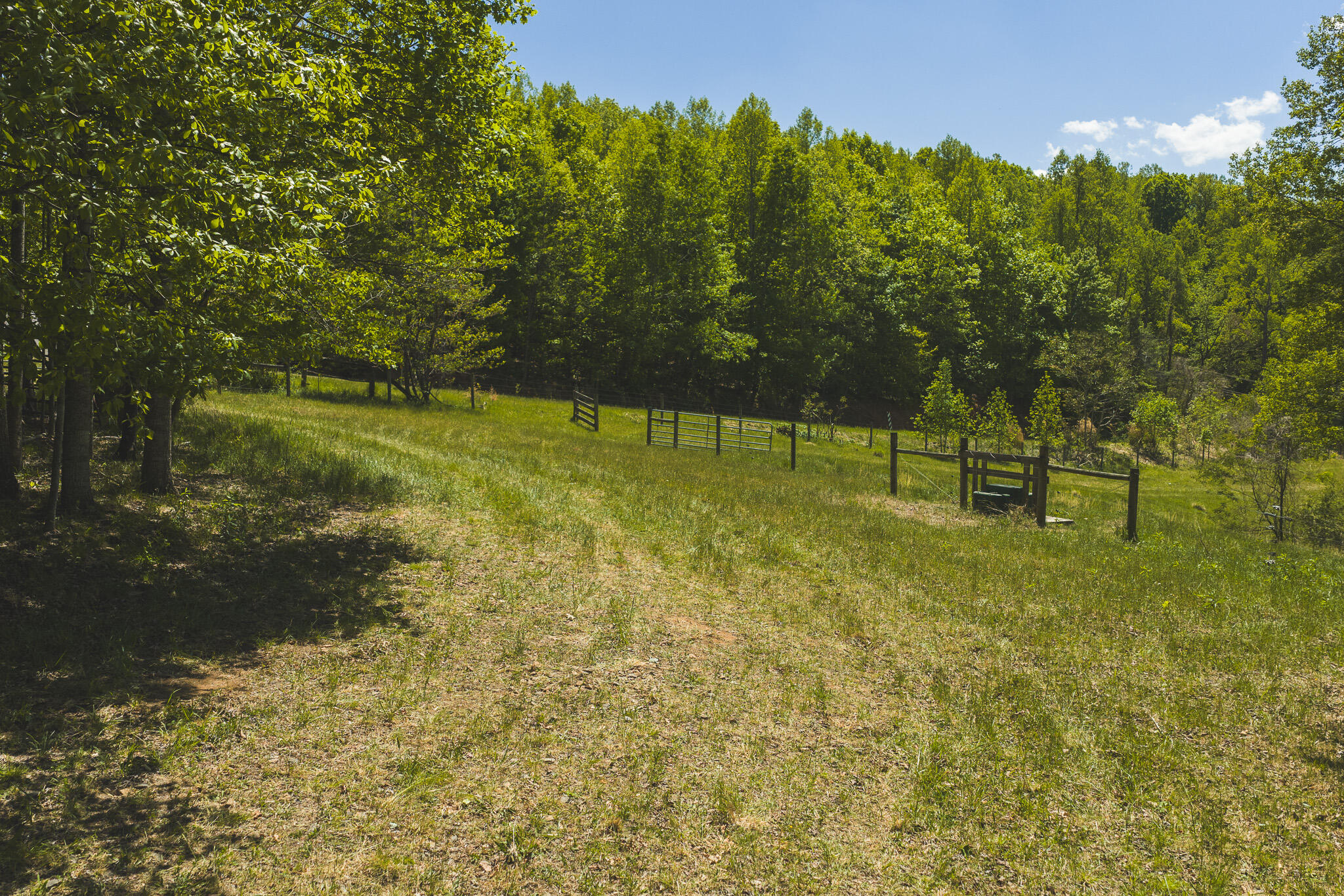 Tbd Fishburn Mountain Road Rocky Mount, VA 24151 - Photo 17 of 32 DJI_20260423134908_0758_D
