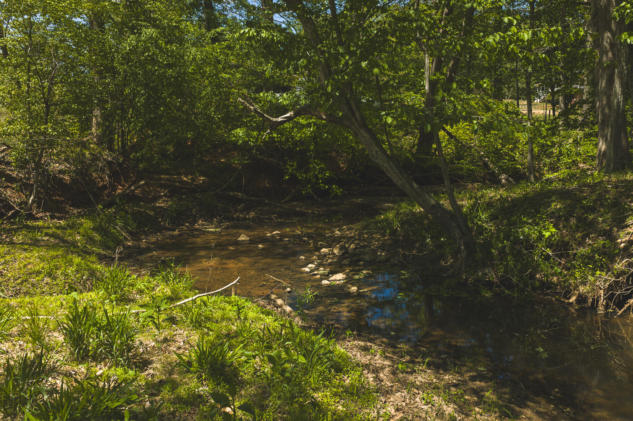 Tbd Fishburn Mountain Road Rocky Mount, VA 24151 - Photo 28 of 32 DJI_20260423135602_0781_D