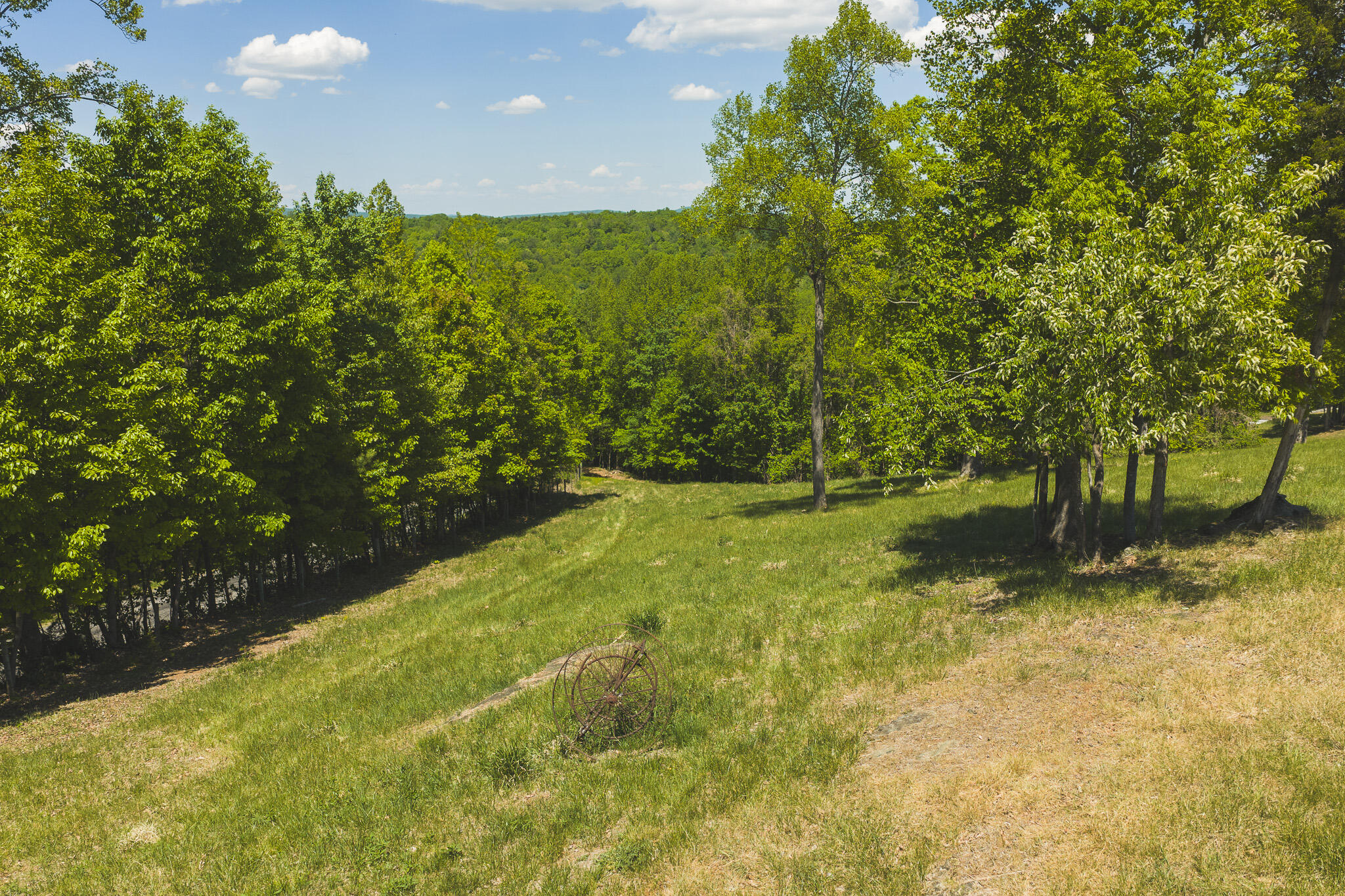 Tbd Fishburn Mountain Road Rocky Mount, VA 24151 - Photo 4 of 32 DJI_20260423134423_0741_D
