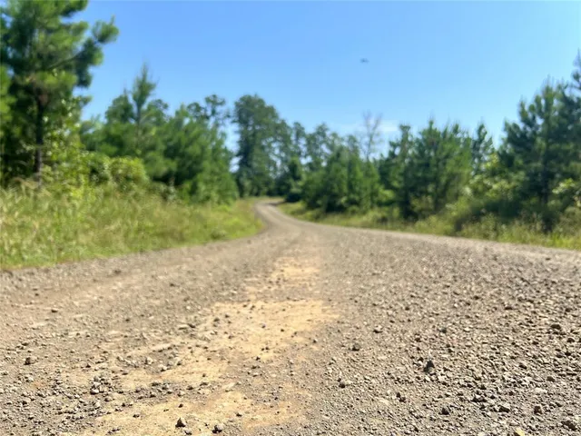 a view of a yard with trees in the background
