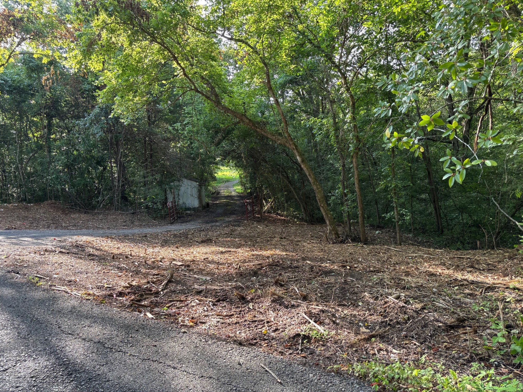 2517 Patton Hollow Road Watertown, TN 37184 - Photo 23 of 29