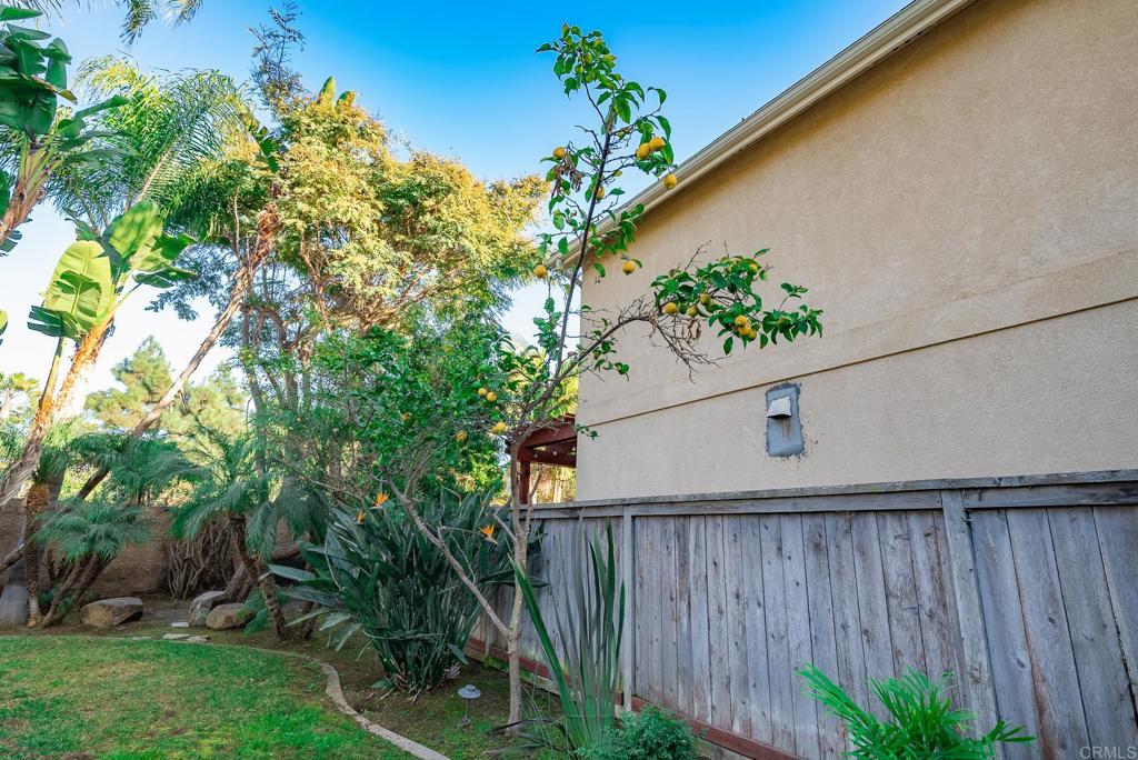 5406 Foxtail Loop Carlsbad, CA 92010 - Photo 45 of 50 a backyard of a house with lots of green space