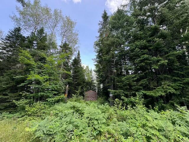 Lot #3 Pleine Road St. Agatha, ME 04772 - Photo 24 of 32