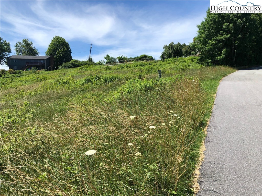 Lot 13 Chestnut Knob Road Boone, NC 28607 - Photo 11 of 17 Gallery Image 11