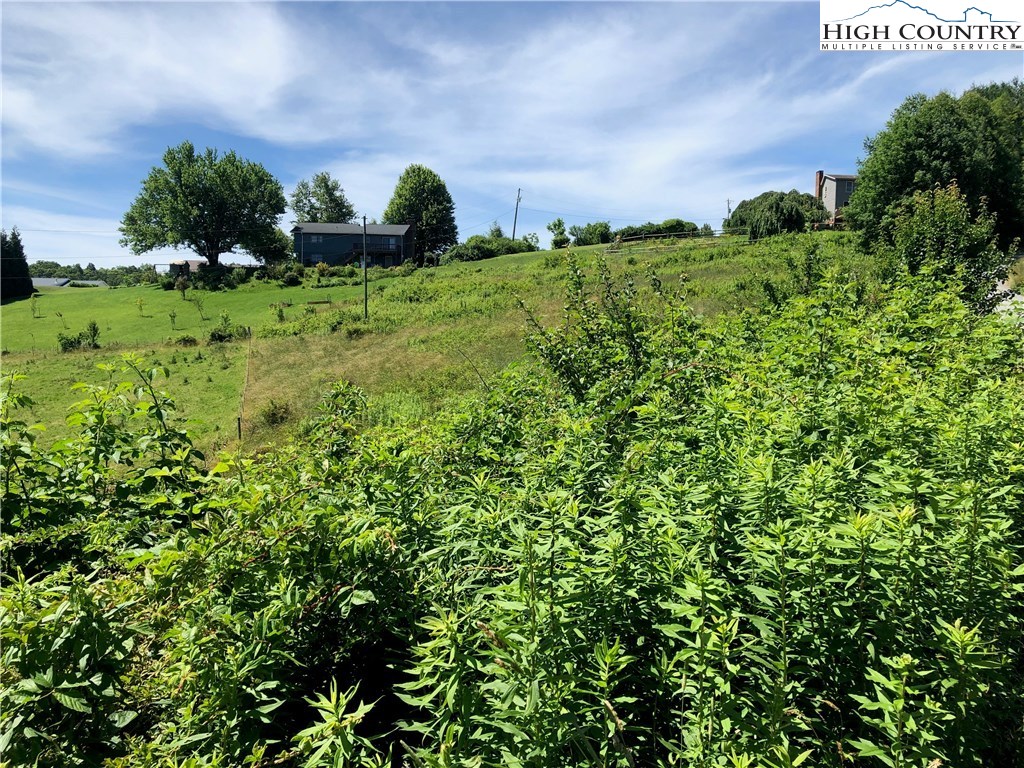 Lot 13 Chestnut Knob Road Boone, NC 28607 - Photo 15 of 17 Gallery Image 15
