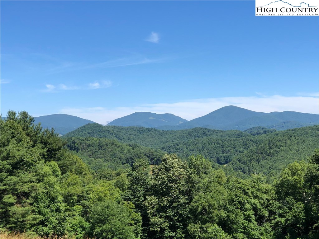 Lot 13 Chestnut Knob Road Boone, NC 28607 - Photo 8 of 17 Gallery Image 8